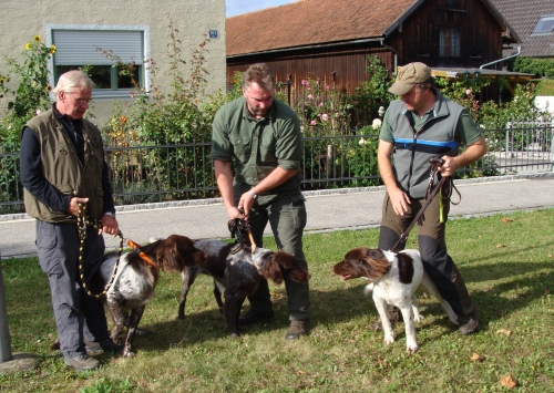 Gina L., Grips und Grizzly v. Rodekopp auf der HZP des DLA